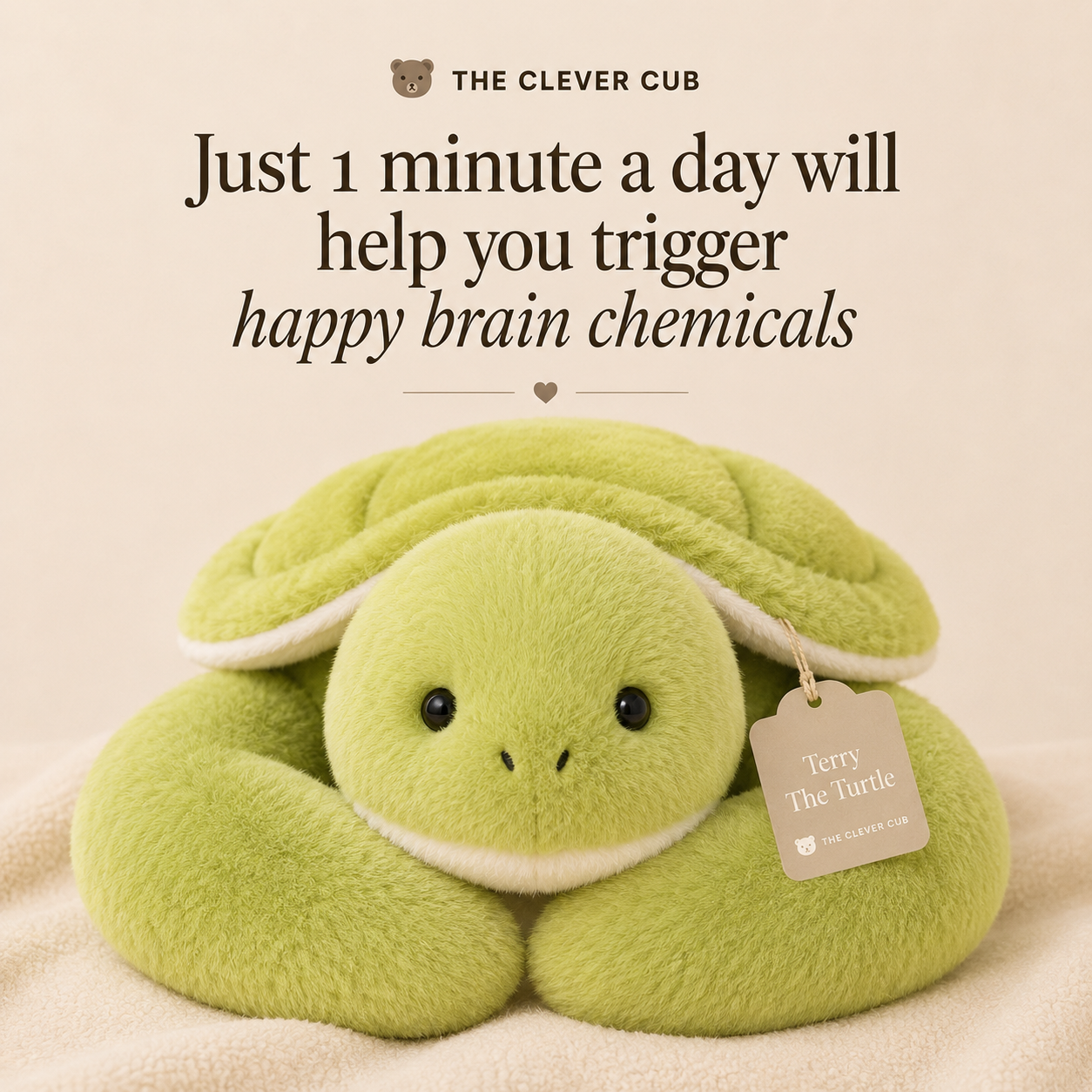 Terry The Turtle Weighted HugBud™